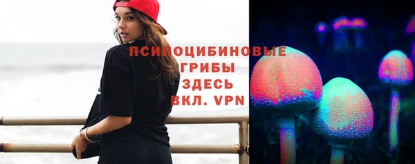 мдма Богородск