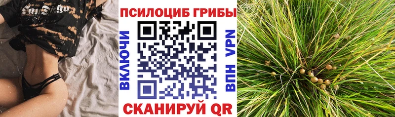 Псилоцибиновые грибы GOLDEN TEACHER Волчанск